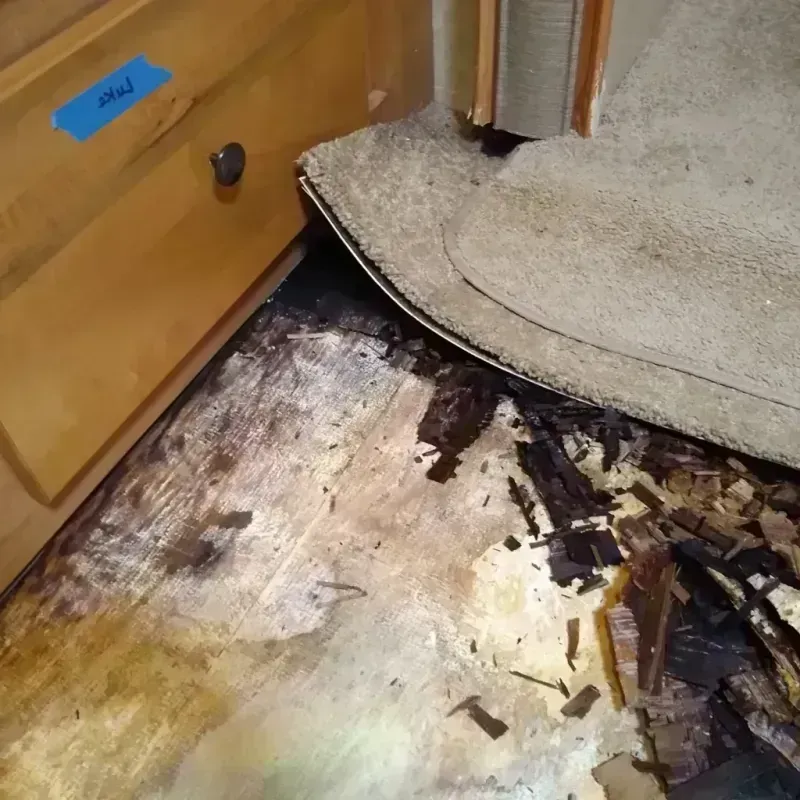 Wood Floor Water Damage in Chicago Lawn, IL